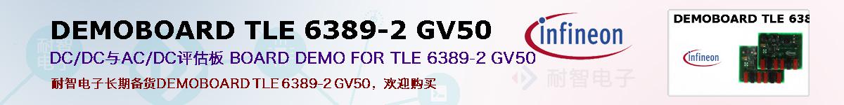 DEMOBOARD TLE 6389-2 GV50ıۺͼ